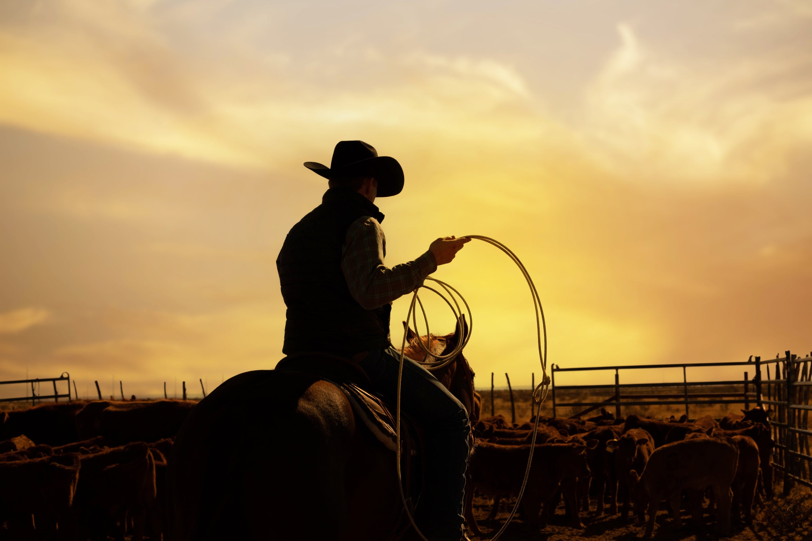 Regenerative Ranching: Restoring Ecosystems as Nature Intended