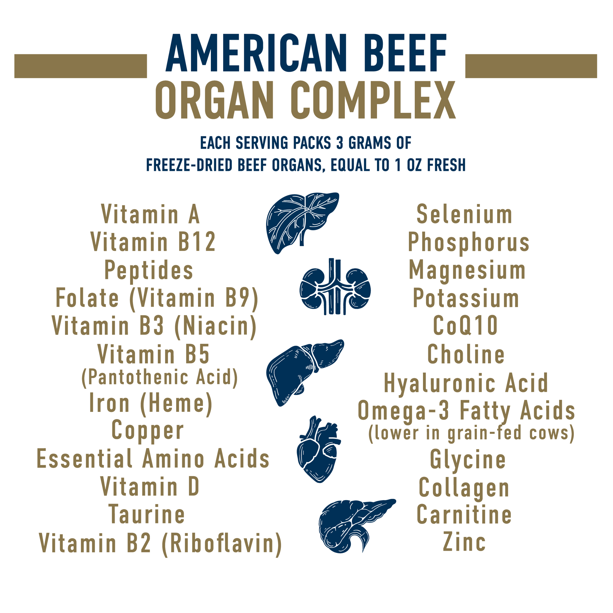 American Beef Organ Complex