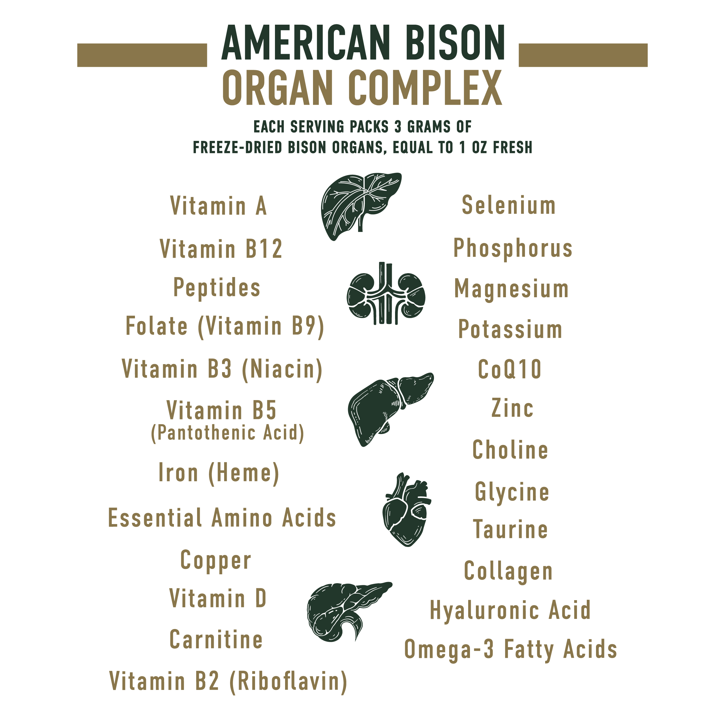 Bison Organ Complex | Sacred Range